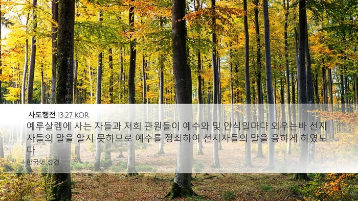 사도행전 13:27 KOR Bible Verse Image