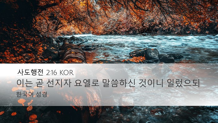 사도행전 2:16 KOR Bible Verse Image