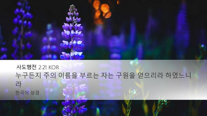 사도행전 2:21 KOR Bible Verse Image
