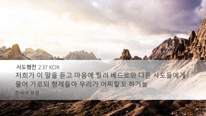 사도행전 2:37 KOR Bible Verse Image