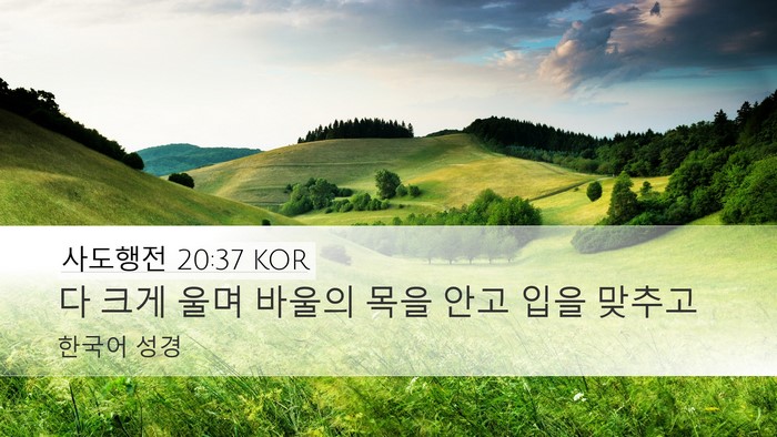 사도행전 20:37 KOR Bible Verse Image