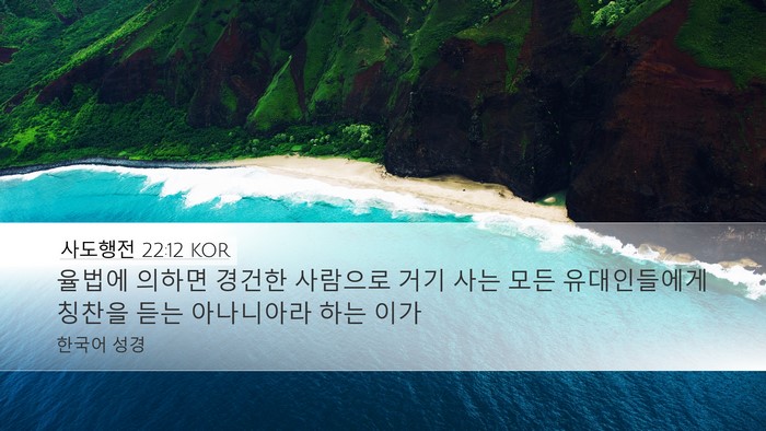 사도행전 22:12 KOR Bible Verse Image
