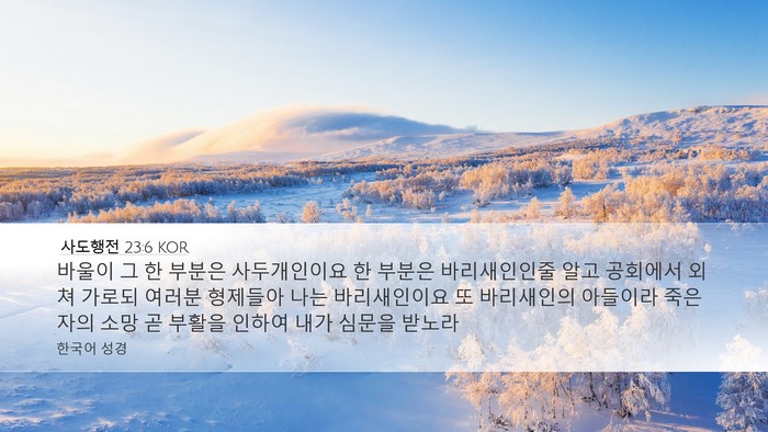 사도행전 23:6 KOR Bible Verse Image