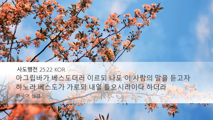 사도행전 25:22 KOR Bible Verse Image