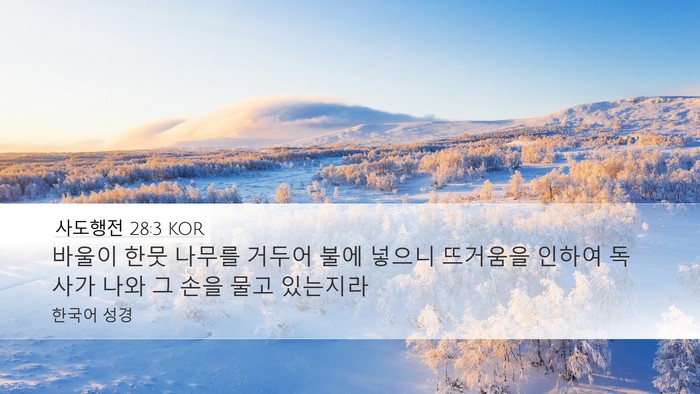 사도행전 28:3 KOR Bible Verse Image