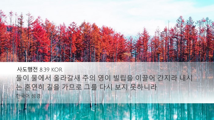사도행전 8:39 KOR Bible Verse Image