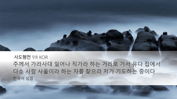 사도행전 9:11 KOR Bible Verse Image