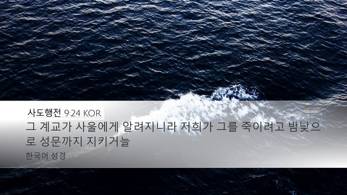 사도행전 9:24 KOR Bible Verse Image