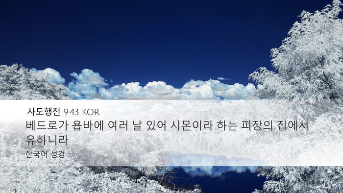 사도행전 9:43 KOR Bible Verse Image