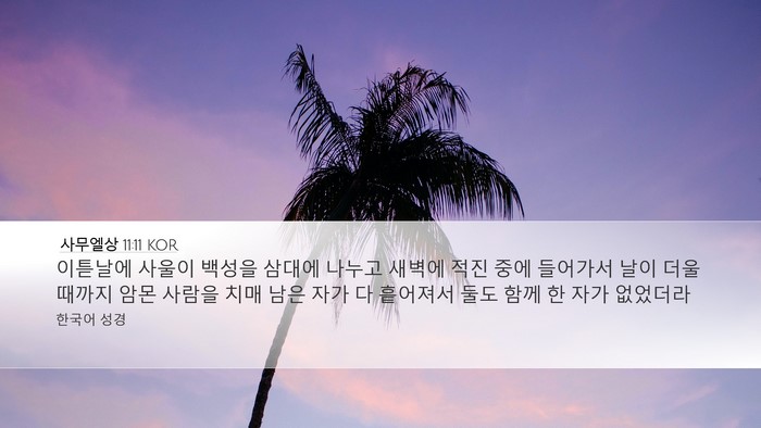 사무엘상 11:11 KOR Bible Verse Image