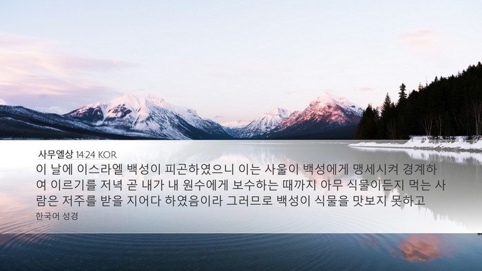 사무엘상 14:24 KOR Bible Verse Image