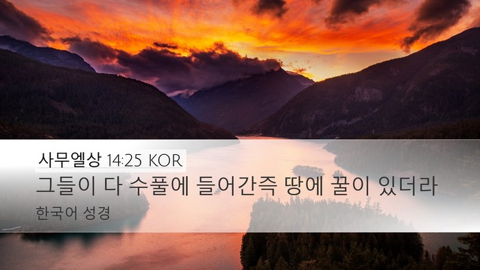 사무엘상 14:25 KOR Desktop Wallpaper - 그들이 다 수풀에 들어간즉 땅에 - Desktop Bible Verse Wallpaper