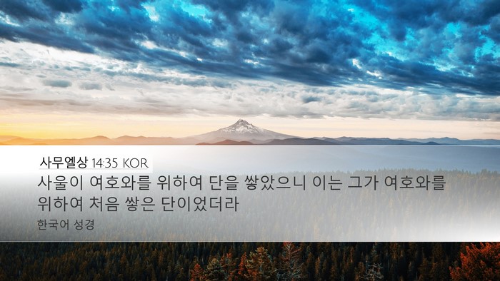 사무엘상 14:35 KOR Bible Verse Image