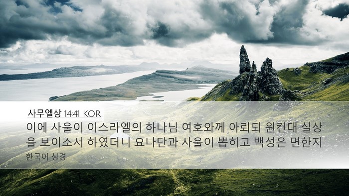 사무엘상 14:41 KOR Bible Verse Image