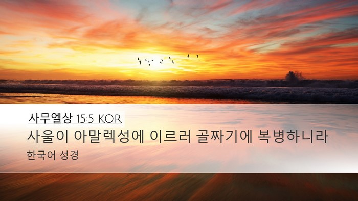 사무엘상 15:5 KOR Desktop Wallpaper - 사울이 아말렉성에 이르러 골짜기에 - Desktop Bible Verse Wallpaper