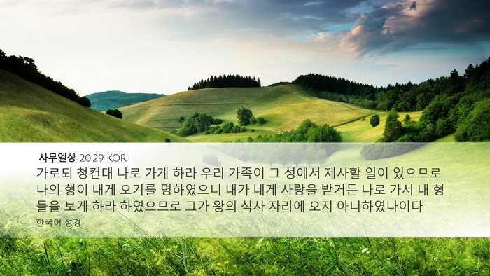 사무엘상 20:29 KOR Bible Verse Image