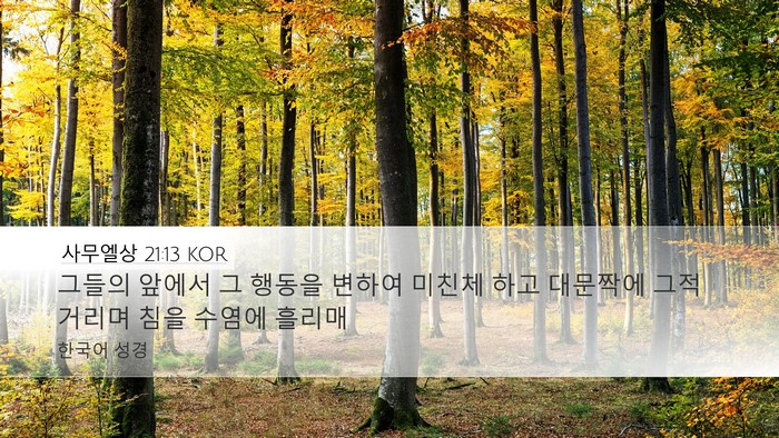 사무엘상 21:13 KOR Bible Verse Image