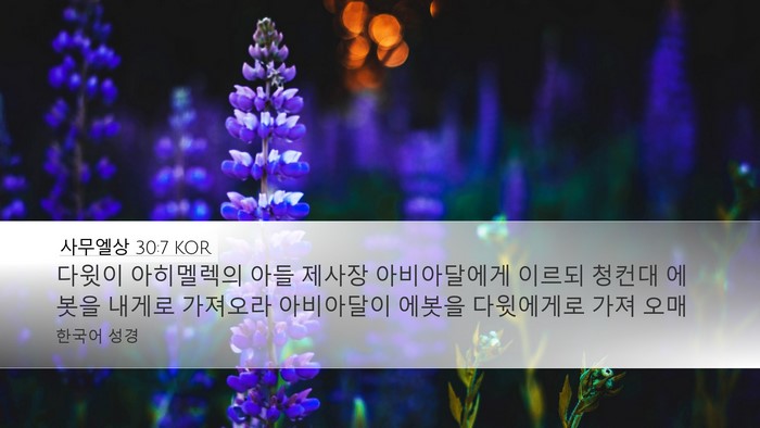 사무엘상 30:7 KOR Bible Verse Image