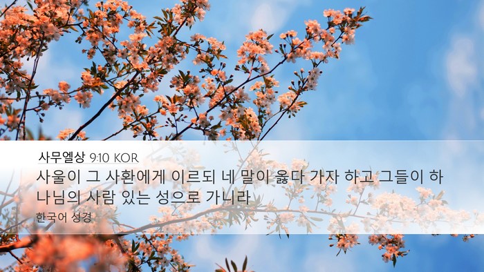 사무엘상 9:10 KOR Desktop Wallpaper - 사울이 그 사환에게 이르되 네 말이 - Desktop Bible Verse Wallpaper