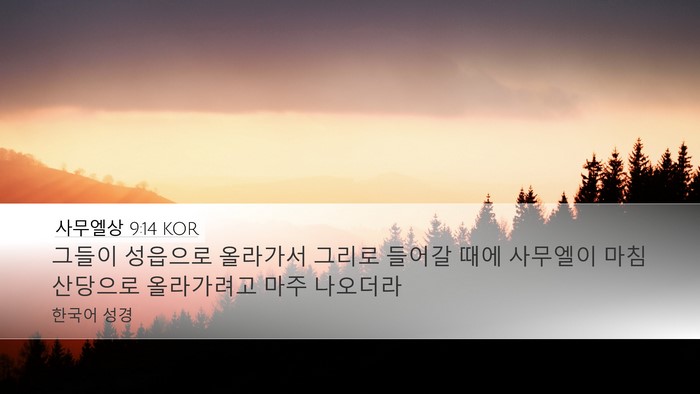사무엘상 9:14 KOR Desktop Wallpaper - 그들이 성읍으로 올라가서 그리로 - Desktop Bible Verse Wallpaper