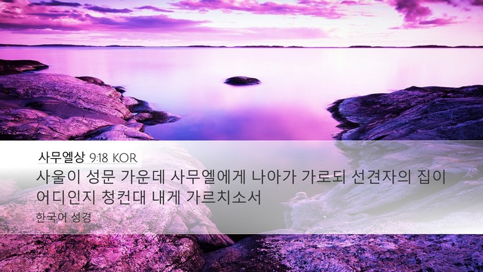 사무엘상 9:18 KOR Desktop Wallpaper - 사울이 성문 가운데 사무엘에게 - Desktop Bible Verse Wallpaper