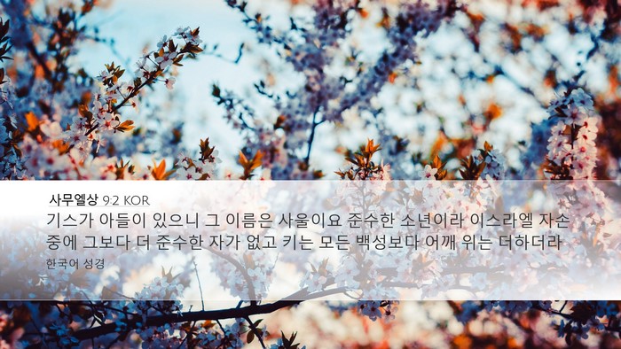 사무엘상 9:2 KOR Desktop Wallpaper - 기스가 아들이 있으니 그 이름은 - Desktop Bible Verse Wallpaper