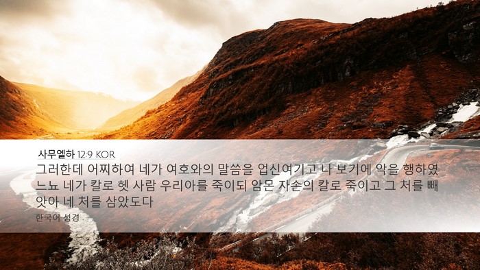 사무엘하 12:9 KOR Bible Verse Image