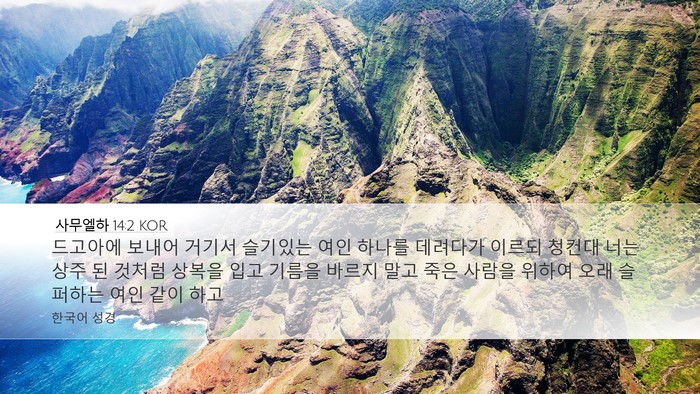사무엘하 14:2 KOR Bible Verse Image
