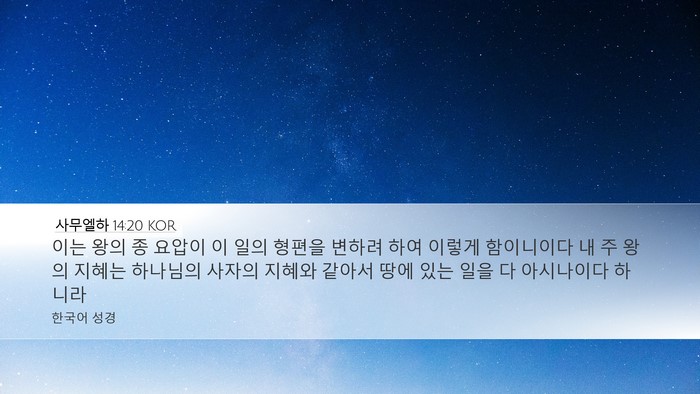 사무엘하 14:20 KOR Bible Verse Image