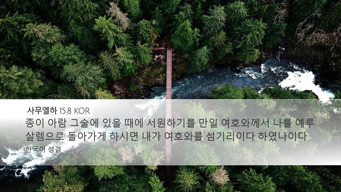 사무엘하 15:8 KOR Bible Verse Image