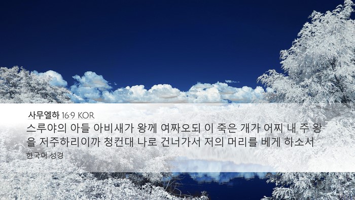 사무엘하 16:9 KOR Bible Verse Image
