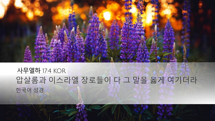 사무엘하 17:4 KOR Desktop Wallpaper - 압살롬과 이스라엘 장로들이 다 그 - Desktop Bible Verse Wallpaper