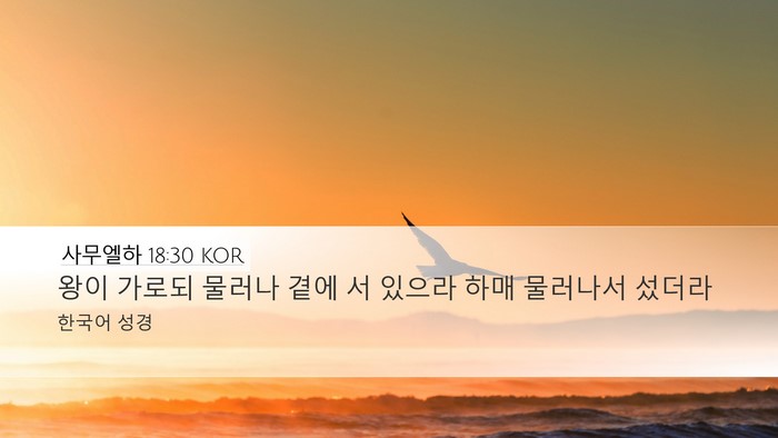 사무엘하 18:30 KOR Desktop Wallpaper - 왕이 가로되 물러나 곁에 서 있으라 - Desktop Bible Verse Wallpaper