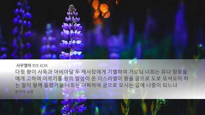 사무엘하 19:11 KOR Bible Verse Image