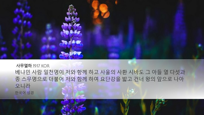 사무엘하 19:17 KOR Bible Verse Image