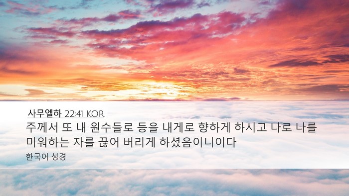 사무엘하 22:41 KOR Desktop Wallpaper - 주께서 또 내 원수들로 등을 내게로 - Desktop Bible Verse Wallpaper