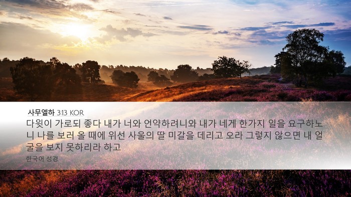 사무엘하 3:13 KOR Desktop Wallpaper - 다윗이 가로되 좋다 내가 너와 - Desktop Bible Verse Wallpaper