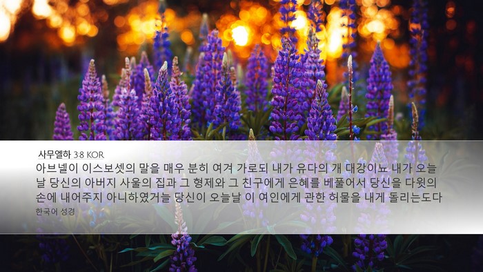 사무엘하 3:8 KOR Desktop Wallpaper - 아브넬이 이스보셋의 말을 매우 분히 - Desktop Bible Verse Wallpaper