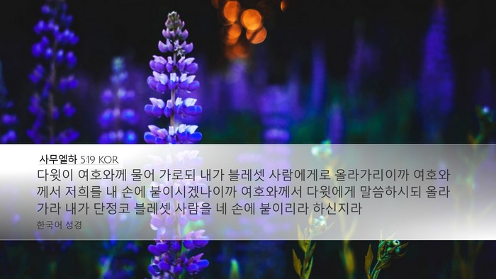 사무엘하 5:19 KOR Bible Verse Image