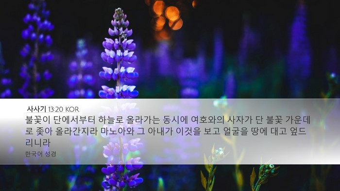 사사기 13:20 KOR Bible Verse Image