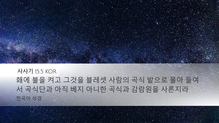 사사기 15:5 KOR Desktop Wallpaper - 홰에 불을 켜고 그것을 블레셋 - Desktop Bible Verse Wallpaper