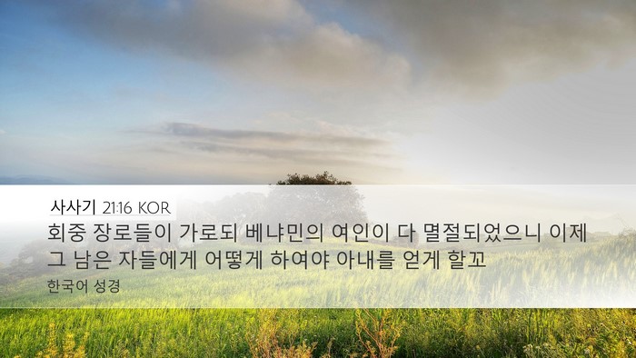 사사기 21:16 KOR Desktop Wallpaper - 회중 장로들이 가로되 베냐민의 - Desktop Bible Verse Wallpaper
