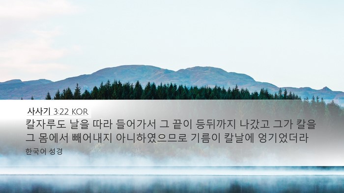 사사기 3:22 KOR Desktop Wallpaper - 칼자루도 날을 따라 들어가서 그 - Desktop Bible Verse Wallpaper