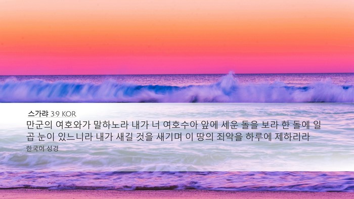 스가랴 3:9 KOR Bible Verse Image