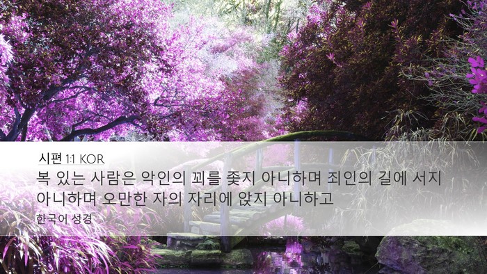 시편 1:1 KOR Desktop Wallpaper - 복 있는 사람은 악인의 꾀를 좇지 - Desktop Bible Verse Wallpaper