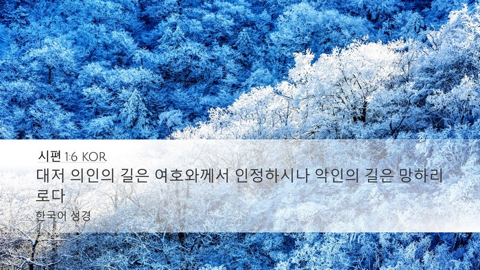 시편 1:6 KOR Bible Verse Image