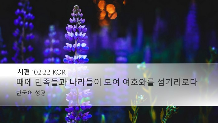시편 102:22 KOR Bible Verse Image