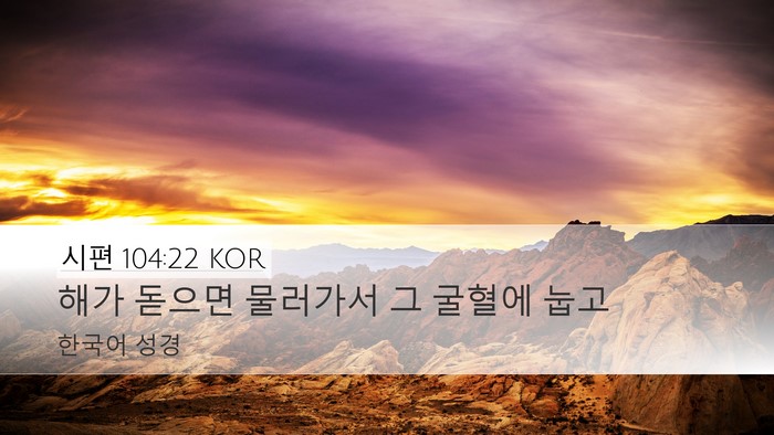 시편 104:22 KOR Desktop Wallpaper - 해가 돋으면 물러가서 그 굴혈에 - Desktop Bible Verse Wallpaper