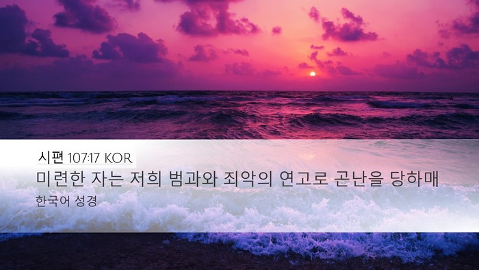 시편 107:17 KOR Bible Verse Image