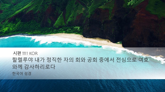 시편 111:1 KOR Bible Verse Image